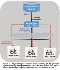 plai-image-4